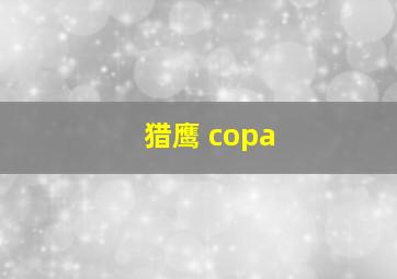 猎鹰 copa